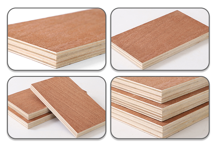 sapele plywood